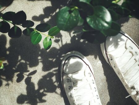 Leaves with shadow and shoesの写真素材