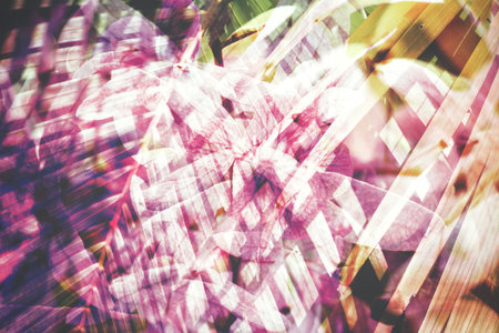 Double exposure of purple flowers with leaves