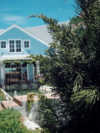 Pine tree with house