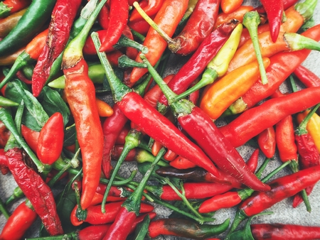 Red chiliの写真素材