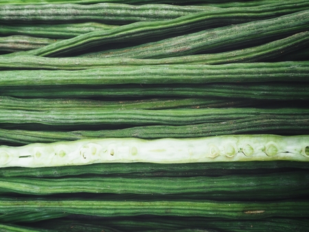 Moringaの写真素材