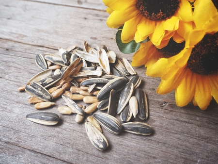 Sunflower seedsの写真素材