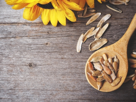 Sunflower seedsの写真素材