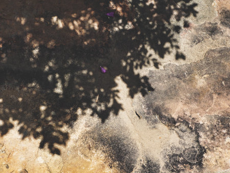 Shadow of leaves