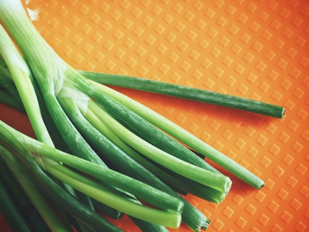 Green onionの写真素材