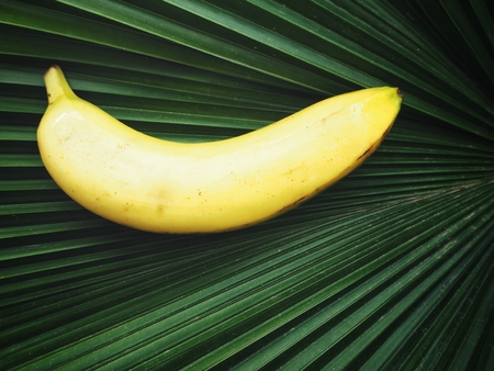 Banana on plam leavesの写真素材