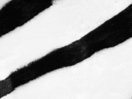 Fabric black and white backgroundの写真素材