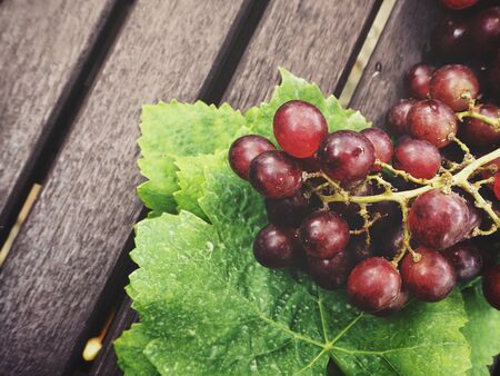 Fresh grapes with green leavesの写真素材