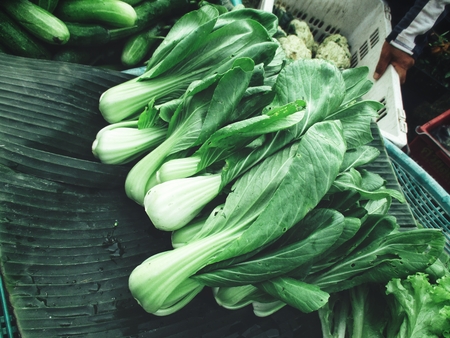 Bok choy chinese cabbageの写真素材