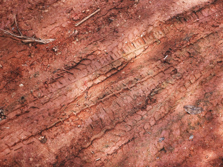 Wheel tracks on the soilの写真素材