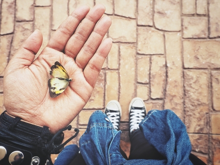 Selfie of butterfly on handの写真素材