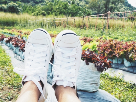 Selfie of sneakers with vegetable farmの写真素材