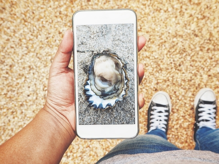 Take a photo of oysters with smart phoneの写真素材