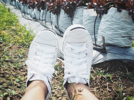 Selfie of sneakers with vegetable farmの写真素材