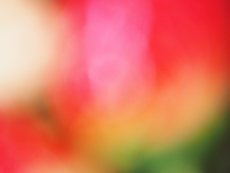 Red and green background vintage styleの写真素材