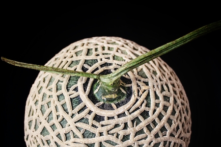 Melon Japanese fruit on black backgroundの写真素材