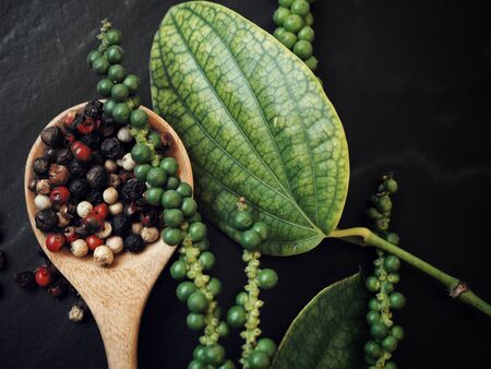 Dried peppercorns black green and redの写真素材