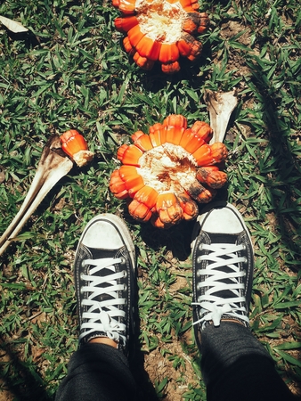 Selfie of sneakers with pandanus fruitの写真素材