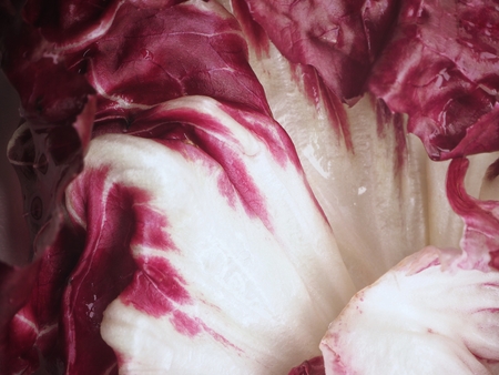 Close up of radicchioの写真素材