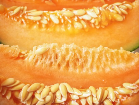 Melon Japanese fruitの写真素材