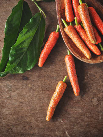 Indian long pepperの写真素材