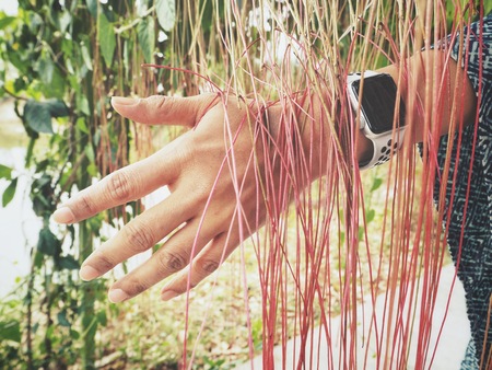 Smartwatch with handの写真素材