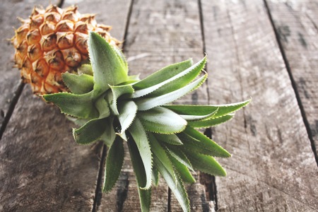 Pineapple tropical fruitの写真素材