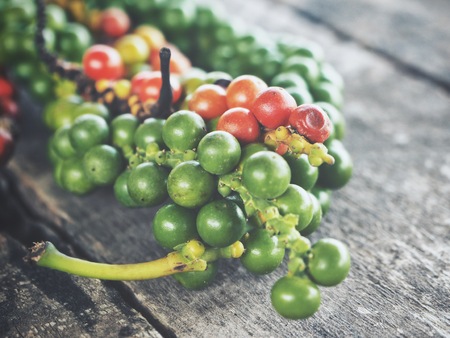 Green and red peppercornsの写真素材