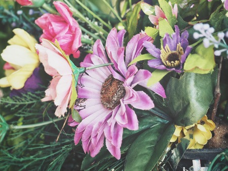 Beautiful of artificial flowersの写真素材
