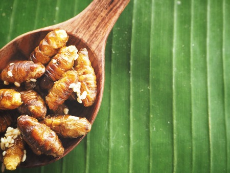 Silkworm pupae on banana leafの写真素材