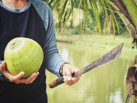 Coconut drink on handの写真素材
