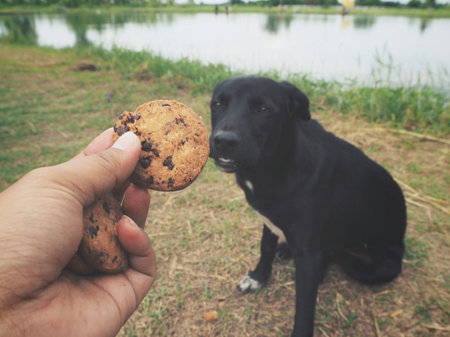 Selfie of cookie on hand and dog