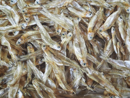 Close up of dried fishの写真素材