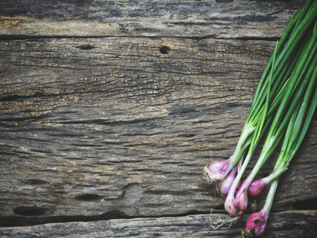 Green spring onions on wood backgroundの写真素材