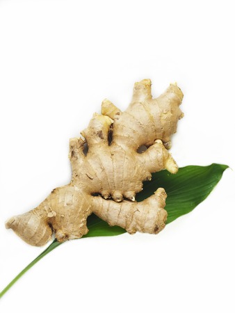 Ginger isolated white backgroundの写真素材