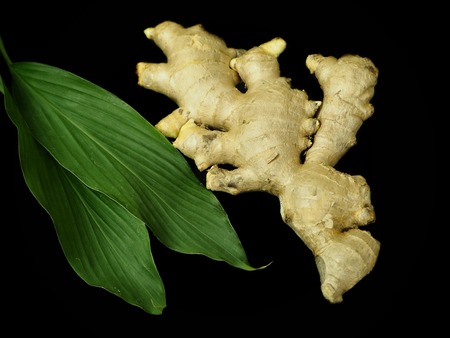 Ginger and leaves on black backgroundの写真素材