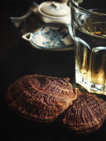 Ganoderma Lucidum - Ling Zhi Mushroom and tea pot on black backgroundの写真素材