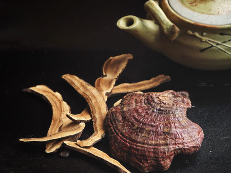 Ganoderma Lucidum - Ling Zhi Mushroom and tea pot on black background
