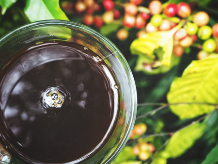 Black coffee cup and plantの写真素材