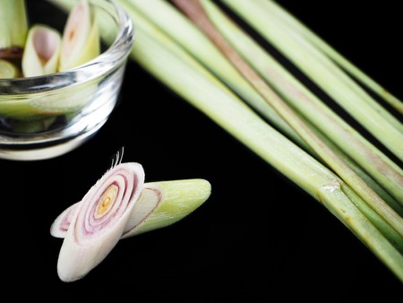 Lemon grass herb on black backgroundの写真素材