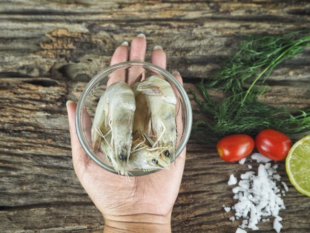 Fresh shrimp seafood on handの写真素材
