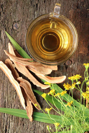 Hot tea on cup and Ganoderma lucidum - Ling zhi mushroom. on wood backgroundの写真素材