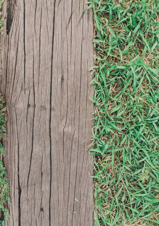 Green grass and wood background textureの写真素材