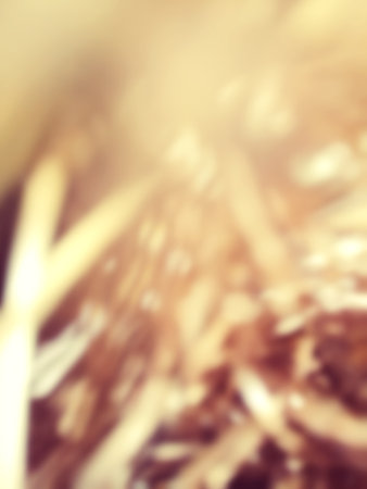 Blurred of christmas gold background or textureの写真素材