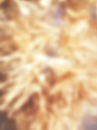 Blurred of christmas gold background or textureの写真素材