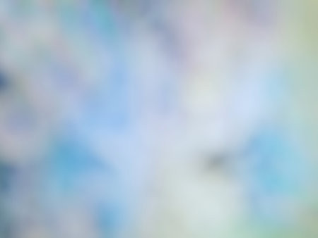 Blurred of color gerbera flowersの写真素材