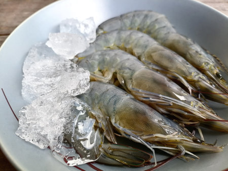 Close up of fresh shrimp seafoodの写真素材