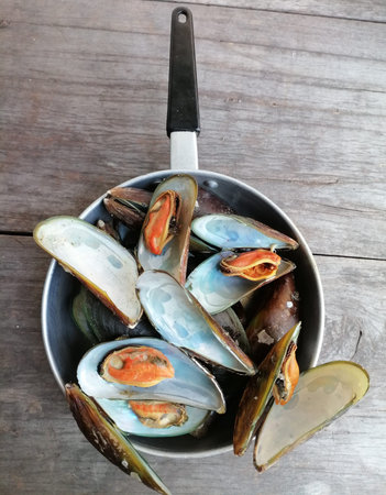Fresh raw mussels clams seafood