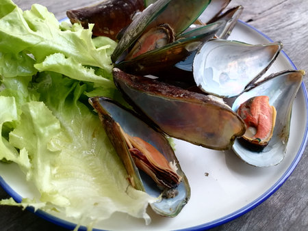 Fresh raw mussels clams seafood