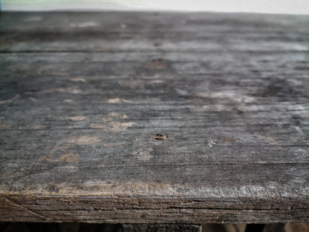 Brown wood background or texture